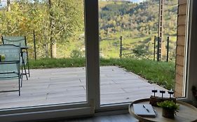 Appartement calme La Bresse animaux admis